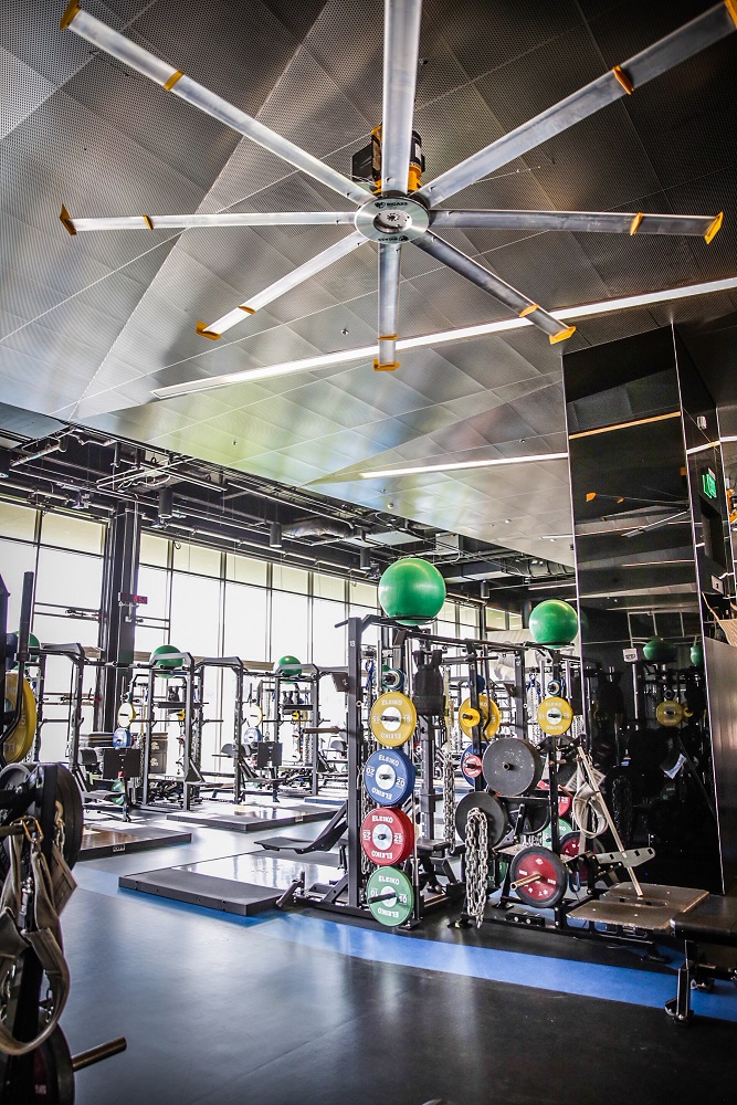 UCLA Football | Power Lift